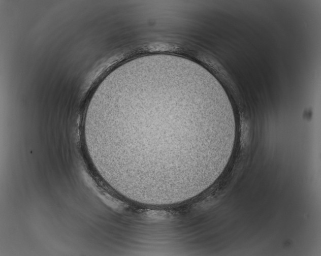 X0000115690490200912241505