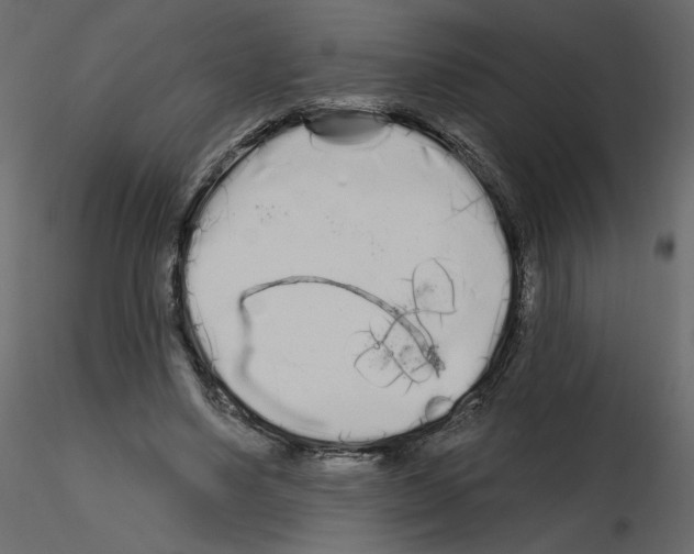 X0000115690491200912241505
