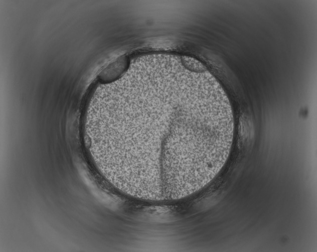 X0000115690492200912241505