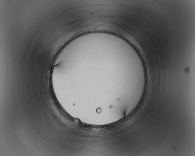 X0000115690493200912241505