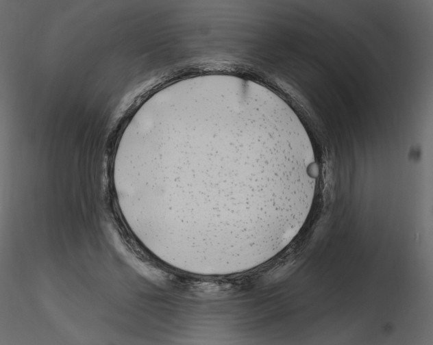 X0000115690494200912241505