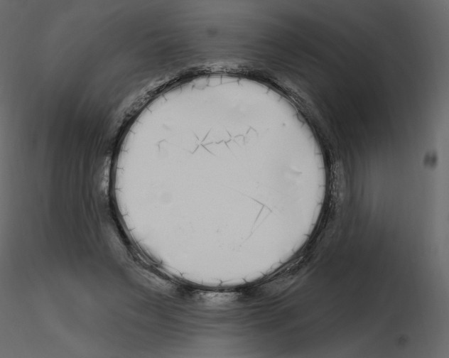 X0000115690495200912241505