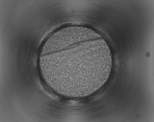 X0000115690496200912241505