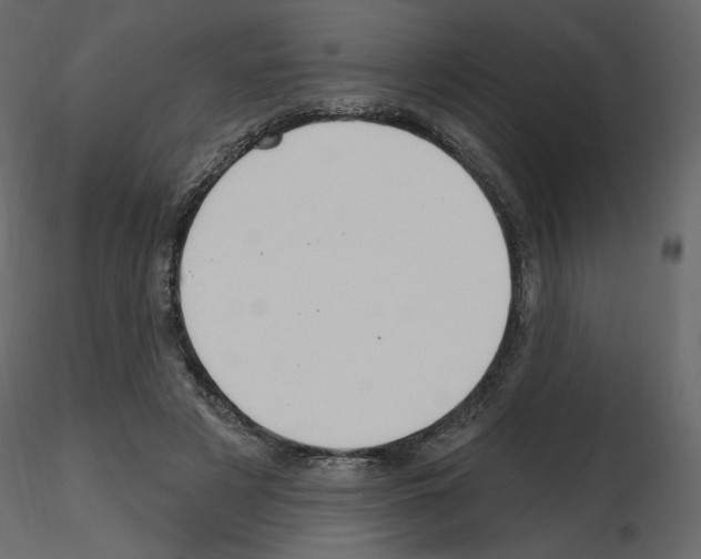 X0000115690497200912241505