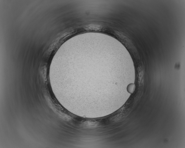 X0000115690498200912241505