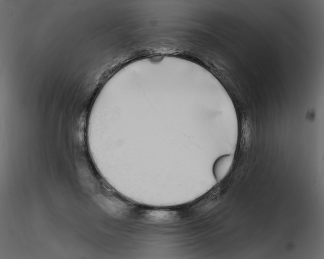 X0000115690499200912241505