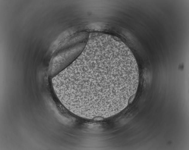 X0000115690500200912241505