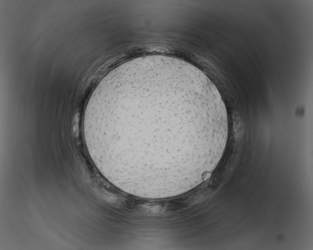 X0000115690502200912241505