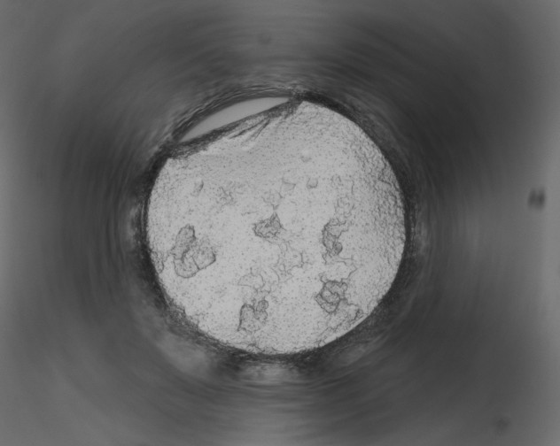 X0000115690503200912241505