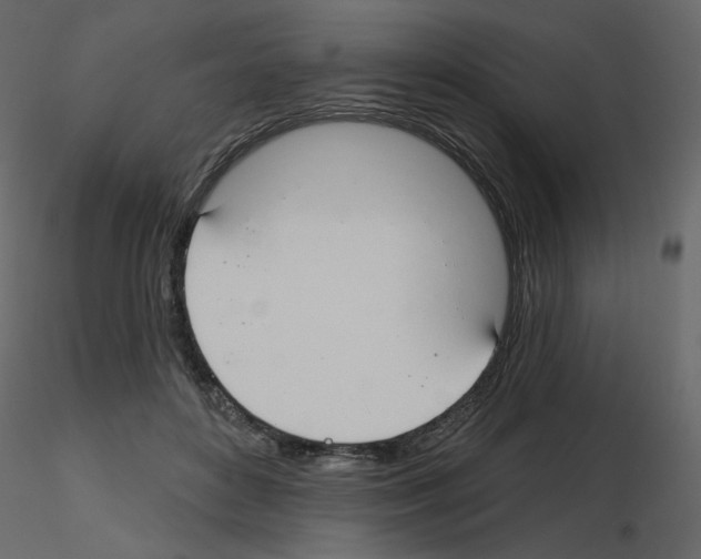 X0000115690504200912241504