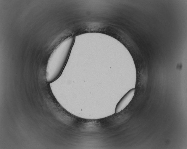 X0000115690505200912241504