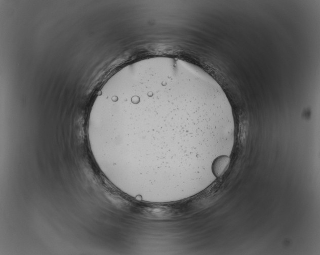 X0000115690506200912241504