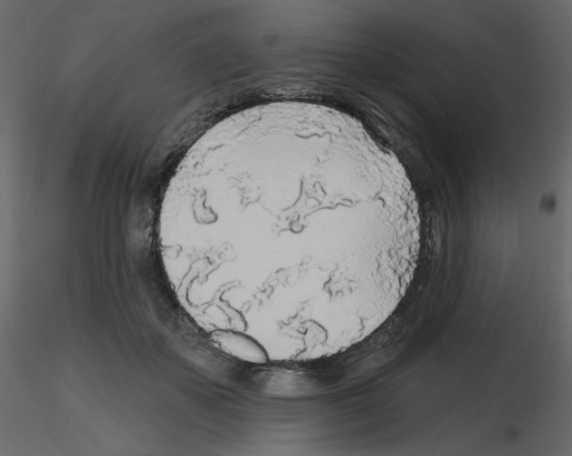 X0000115690507200912241504