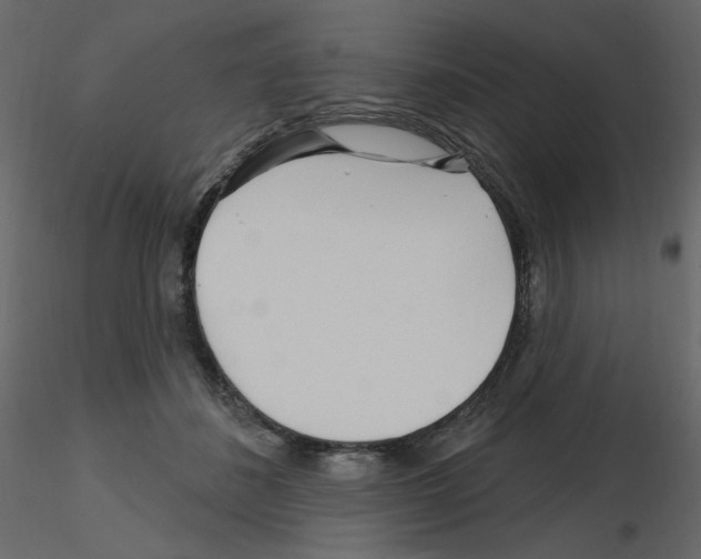X0000115690508200912241504