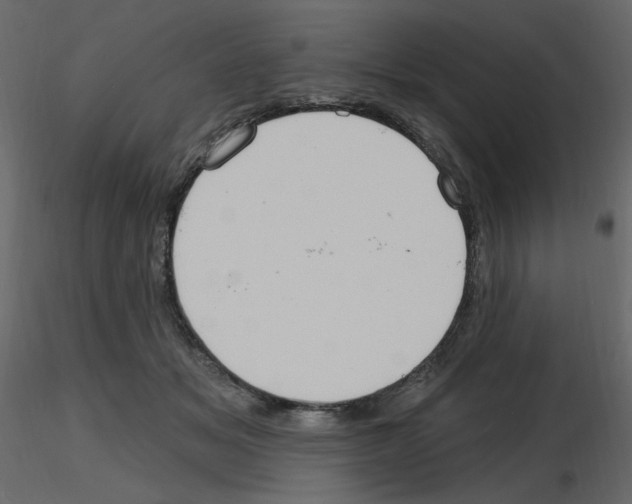 X0000115690509200912241504