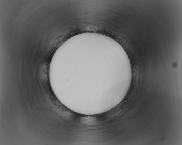 X0000115690511200912241504