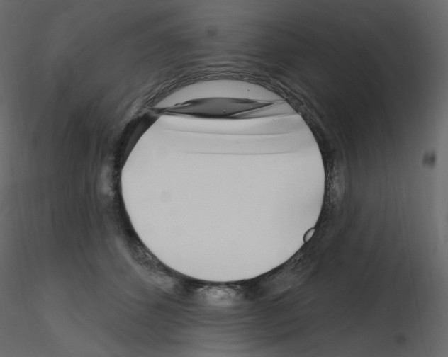 X0000115690512200912241504