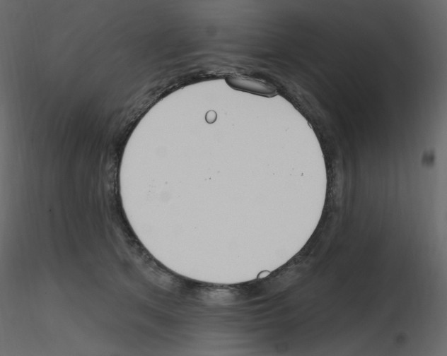 X0000115690513200912241504