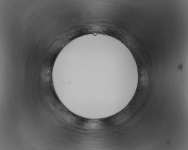 X0000115690514200912241504