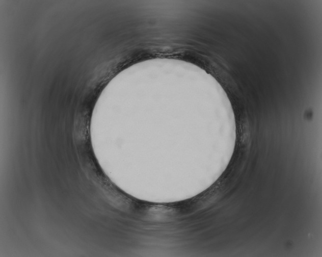 X0000115690515200912241504