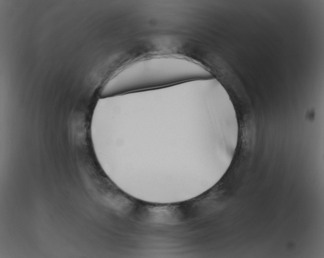 X0000115690516200912241504