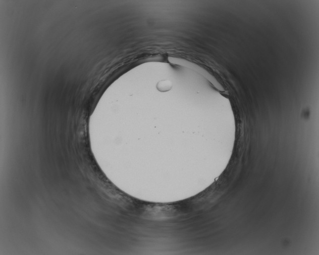 X0000115690517200912241504