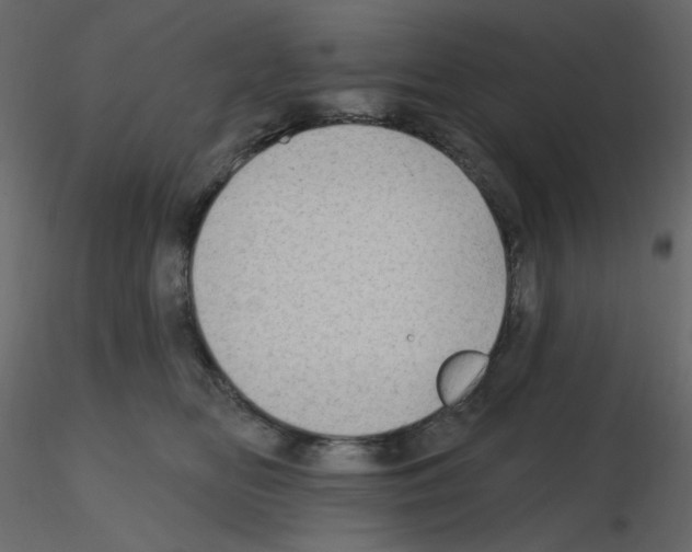 X0000115690518200912241504
