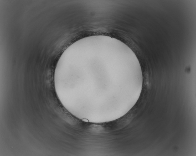 X0000115690519200912241504