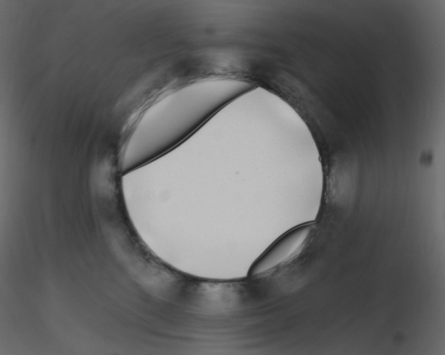 X0000115690520200912241504