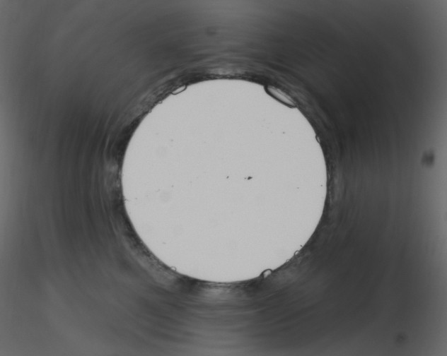 X0000115690521200912241504