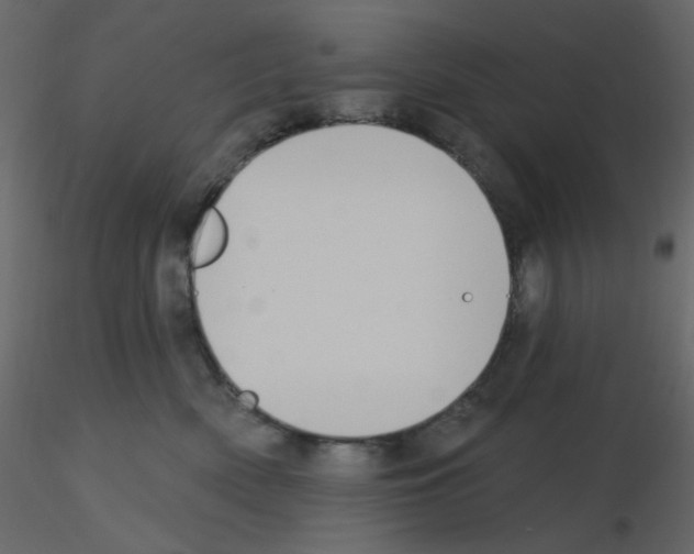 X0000115690522200912241504