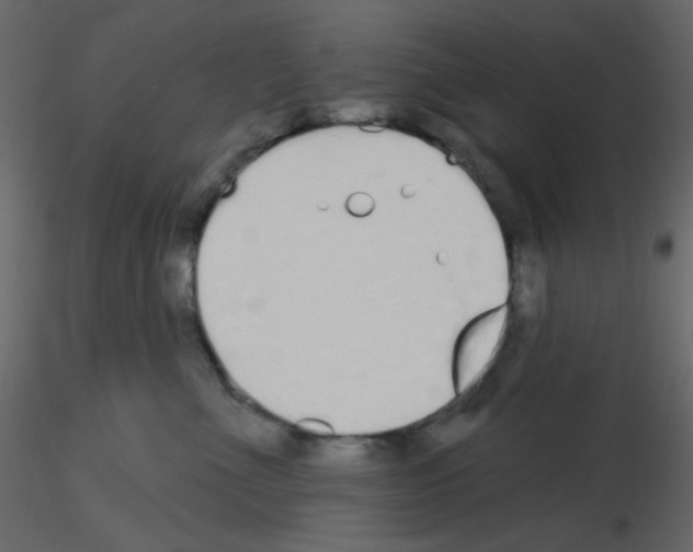 X0000115690523200912241504