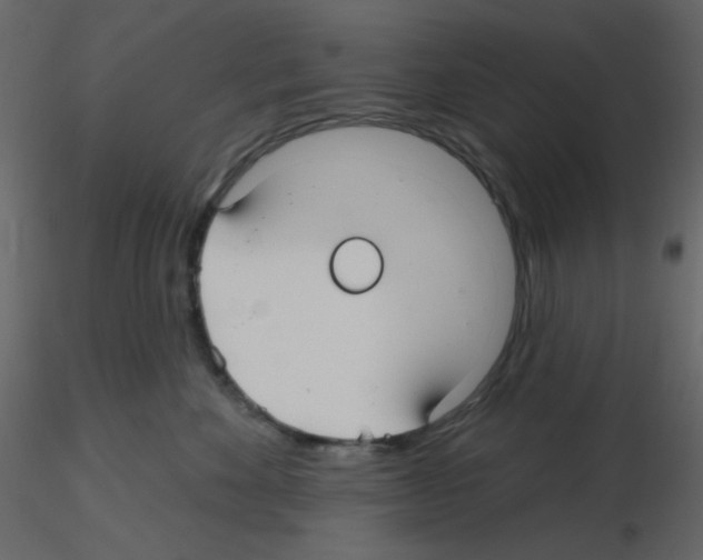 X0000115690524200912241504