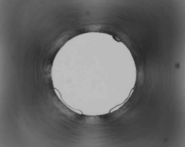 X0000115690525200912241504