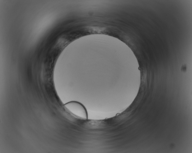 X0000115690526200912241504