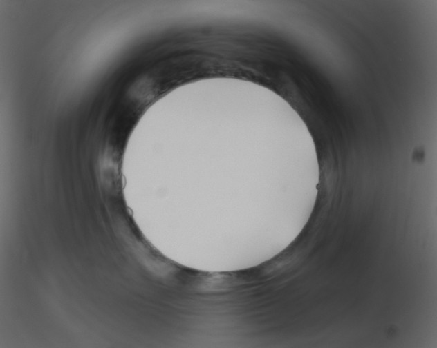 X0000115690527200912241504