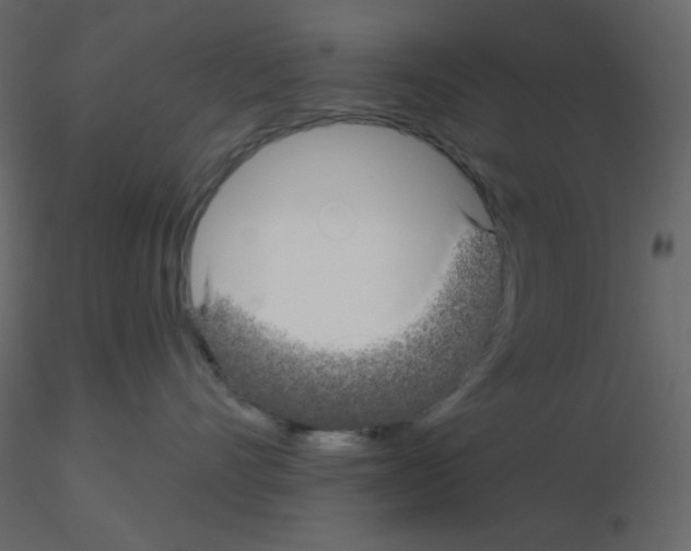 X0000115690528200912241504