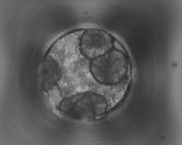 X0000115690529200912241504