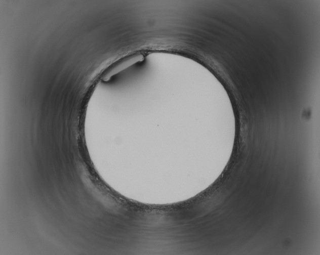 X0000115690530200912241504