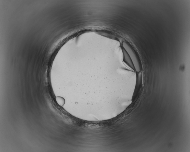 X0000115690531200912241504