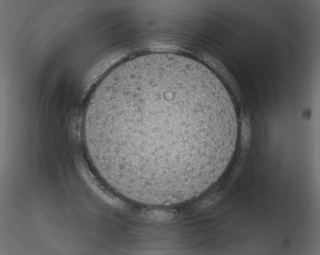 X0000115690533200912241504