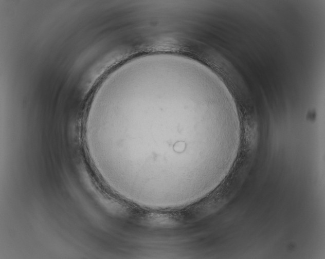 X0000115690534200912241504