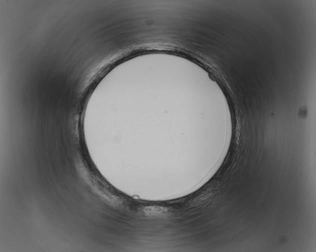 X0000115690535200912241504