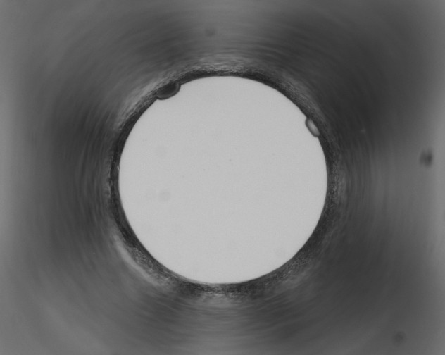 X0000115690538200912241504