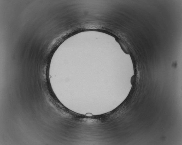 X0000115690539200912241504