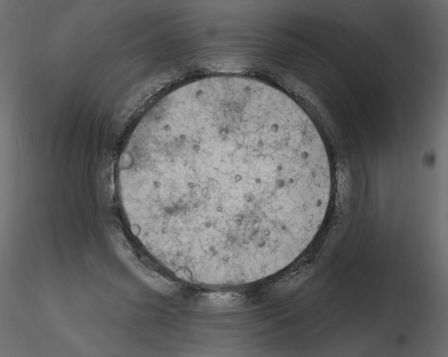 X0000115690541200912241504