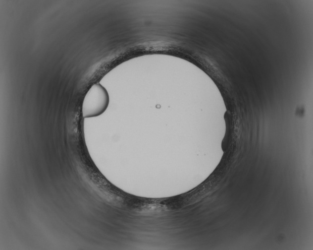X0000115690543200912241504