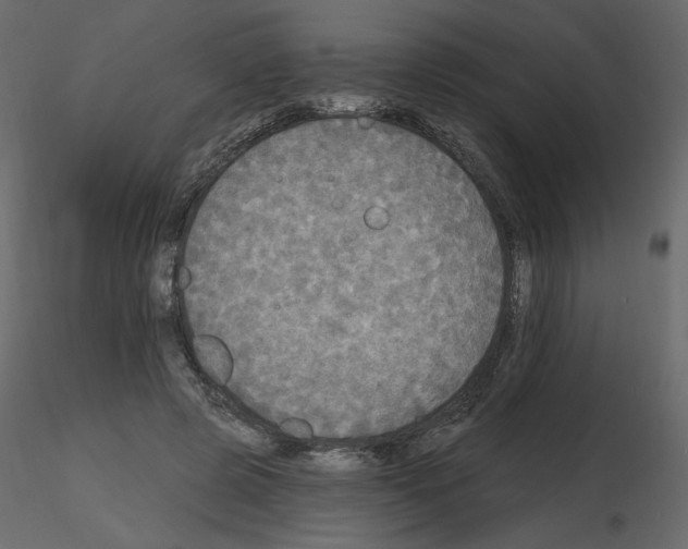X0000115690545200912241504