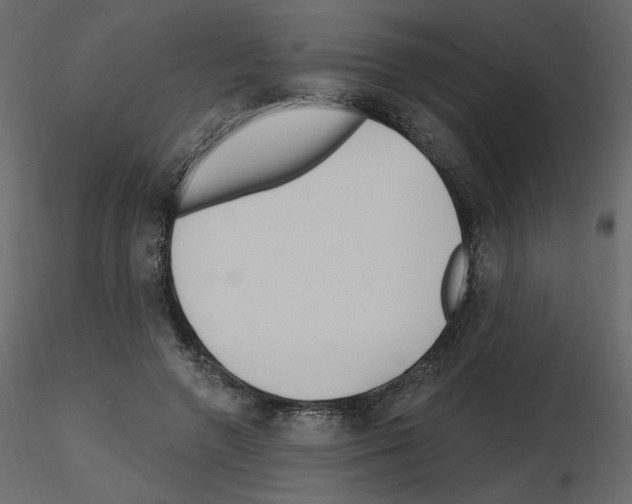 X0000115690546200912241504