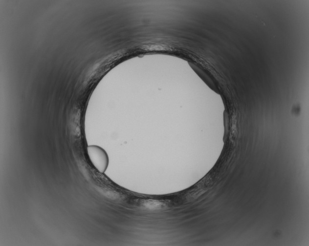 X0000115690547200912241504